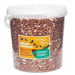 Cutting it Vine Peanuts for Birds (...