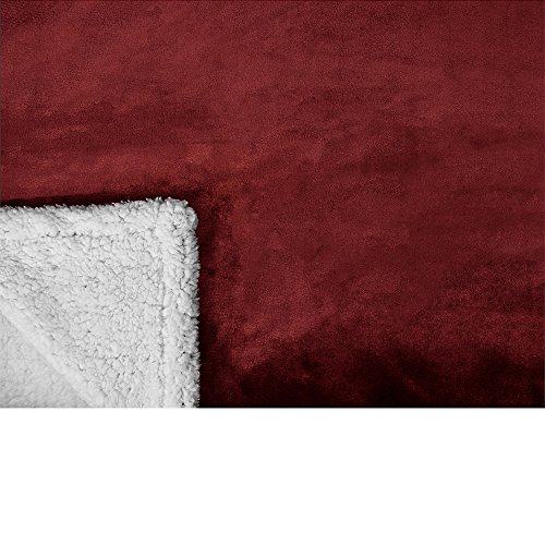 Pavilia Plush Sherpa Fleece Blanket Throw, Twin, Burgundy Red | Soft, Warm, Fuzzy Wine Maroon Throw For Couch Sofa | Solid Reversible Cozy Microfiber Fluffy Blanket, 60X80 #TOP3