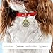 ibera gifts - Hundemarke mit Gravur - Personalisierte Hundemarke in Pfotenform für kleine und mittelgroße Haustiere - Hochwertiges legiertes Metall - Hundemarke personalisiert