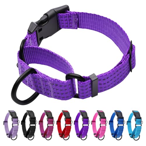 Image of Martingale Dog Collar, Reflective No Pull with Buckle,Purple, XS | Escape Proof without choking ,Training Collar with Quick Release Buckle, Adjustable Heavy Duty Nylon collars for S M L Dogs