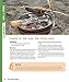 Easy Campfire Cooking, Expanded 2nd Edition: 250+ Family Fun Recipes for Cooking Over Coals and In the Flames with a Dutch Oven, Foil Packets, and More! (Fox Chapel Publishing) For Camping or Scouts