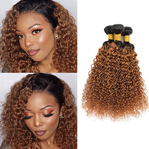 Dalina 1B/30 Curly Hair 3 Bundles Brazilian Kinky Curly Human Hair Extension Bundles Ombre Brown Kinky Curly Weave Bundles 3 Pieces 300 Gram 20 22 24 Inch