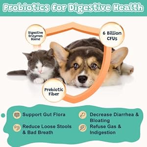 Probiotics-for-Dogs-Digestive-Health-Dog-Probiotics-and-Digestive-Enzymes-Prebiotics-Omega-3-6-and-Vitamin-for-Dogs-6-Billion-CFUs-for-Gut-Health-and-Immune-Support-120-Chews - Cucciolini Doodles   Probiotics-for-Dogs-Digestive-Health-Dog-Probiotics-and-Digestive-Enzymes-Prebiotics-Omega-3-6-and-Vitamin-for-Dogs-6-Billion-CFUs-for-Gut-Health-and-Immune-Support-120-Chews