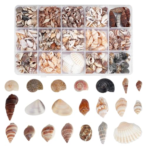 PH PandaHall 466pcs Coquillages 15 Styles Mini Coquillage Decoration Pas Perforé Coquillage Resine Epoxy Petits Coquillages pour Petites Bouteilles, Sac de...