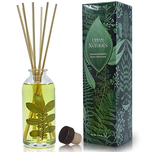 Urban Naturals Repuesto Difusor de Varillas Eucalyptus Sage 4 oz miniatura 2