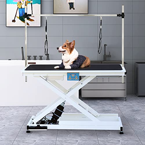 Top 10 Hydraulic Dog Grooming Table of 2022 Katynel
