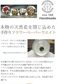 Amazon.co.jp: HafodGrange ハフォドグレンジ 花文鎮フラワーペーパー