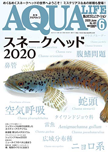 楽天 無料電子書籍 月刊アクアライフ 2020年06月号 スネークヘッド2020 バイ