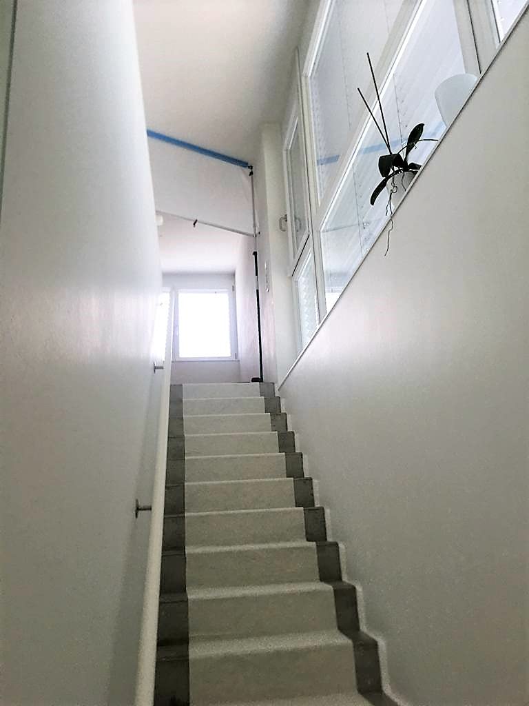 Schutzvlies selbsthaftend | Abdeckvlies | Malervlies | mit Folie | mehrfach verwendbar | 1 m x 50 m | 180 g/m²