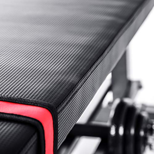 Lions Weights Bench with Dumbbell Rack, Weight Training Bodybuilding Chest Exercise Bicep Press up Abs Sit up Full Body Workout Fitness Flat Bench - Image 6