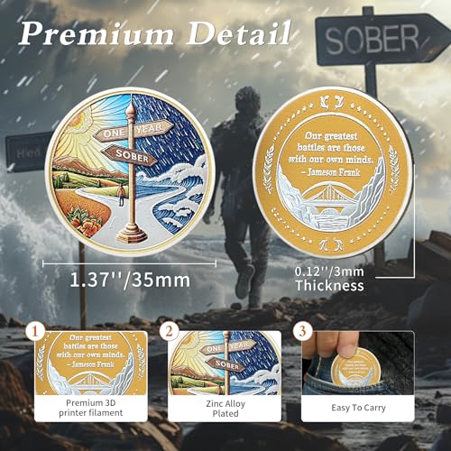 original one year sobriety coin - reborn from storm aa coins - 1 year aa chips and medallions - 1-10 years na aa celebrate recovery addicts - narcotics alcoholics anonymous gifts for men women