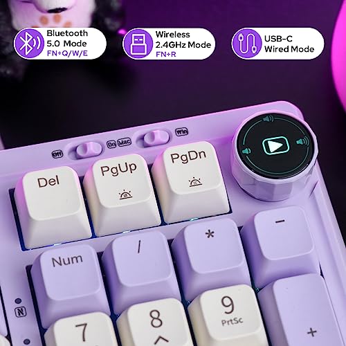 EPOMAKER RT100 97 Keys Gasket BT5.0/2.4G/USB-C Mechanical Keyboard