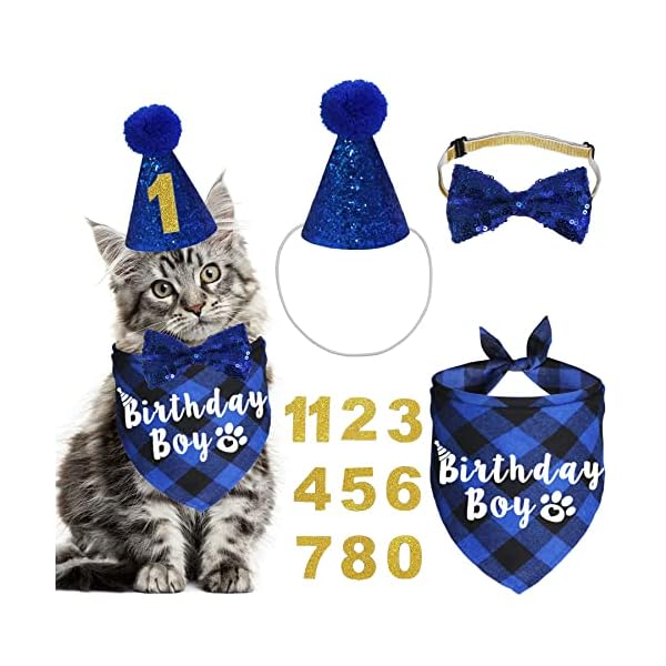 Jotfa cat birthday party supplies, plaid cat kitten birthday boy bandanas with cat birthday hat cat bow tie birthday number for cat kitten birthday decorations