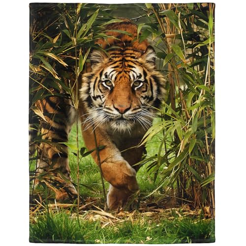 YISUMEI - Soft Fleece Blanket - Fierce Tiger,150 x 200 cm Throw Suitable for Bed or Sofa, Color1