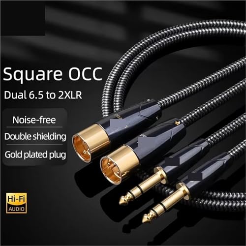 Câble 6,35 mm vers XLR mâle double pour table de mixage et micro