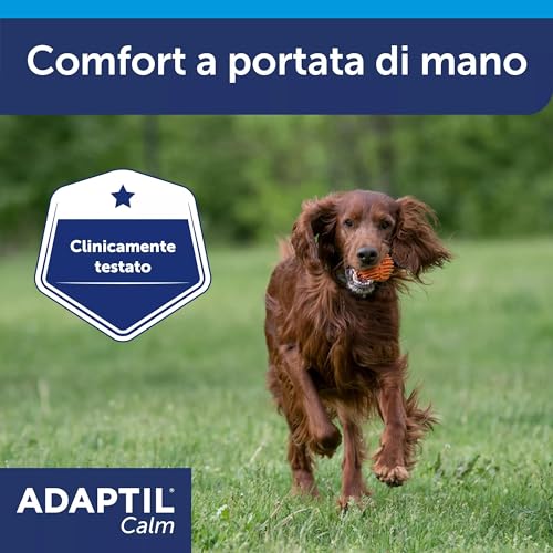 ADAPTIL Calm Beruhigendes Halsband für Hunde, Größe M/L, mittelgroße und große Hunde, beruhigende Pheromone, Stressabbau für hyperaktive, ängstliche Hunde, Entspannung für Hunde, Reisen und stressige