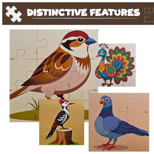 Image of 4 in 1, 9 Pieces Each, Cute Birds Wooden Jigsaw Puzzles for Kids 2+ Years, Educational Brain Teaser Toy, Birthday Gift for Toddlers & Preschoolers, Toys for 2 Year Old Boy