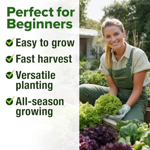 Image of HOME GROWN 20 Variety Lettuce Seeds 21,500+ Bulk Pack Heirloom Non-GMO, High Germination, Romaine,Butterhead, Spinach, Kale, Iceberg, Continuous Harvest,Indoor Outdoor Hydroponic Garden
