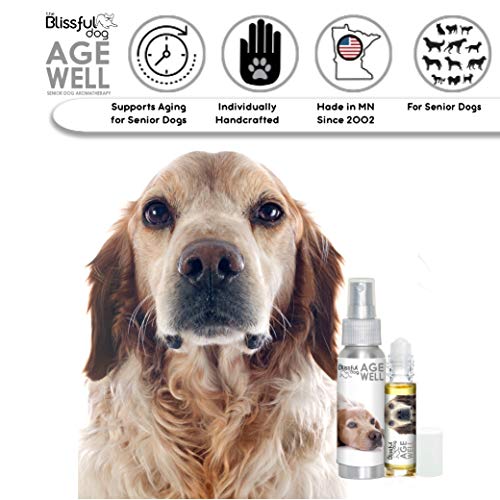 Image of The Blissful Dog Brittany Spaniel Age Well Spray Aromatherapy