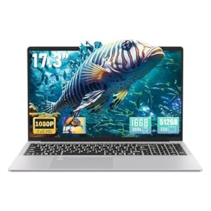 Computadora portátil IPS de 17.3 pulgadas FHD (1920 x 1080), 16 GB DDR4 RAM 512 GB SSD, procesador Celeron N5095 de cuatro núcleos, PC Win 11 Pro, HDMI, lector de huellas dactilares, KB retroiluminado, BT 5.0/WiFi, plata