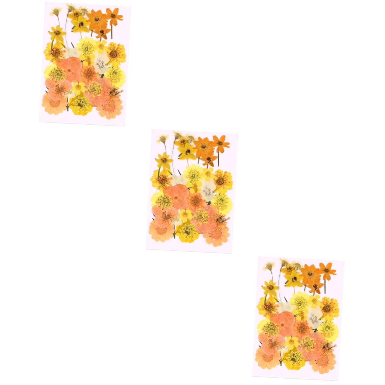 Fleurs Séchées Pressées Orange OSALADI pour Art Floral et Scrapbooking (120 Pièces)