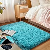 AAFKK 2x3 Area Rug for...