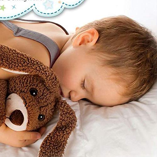 Das Traumstern-Orchester