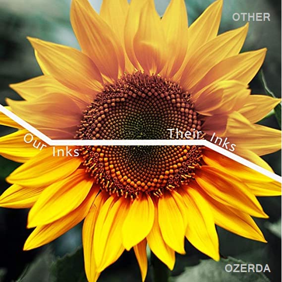 OZERDA Ink Refill for Brother T Series BT6000BK / BT5000 Compatible DCP-T300, T500W, T700W, MFC-T800W Brother Ink Tank Printer Refill (4 Colour) - Image 2