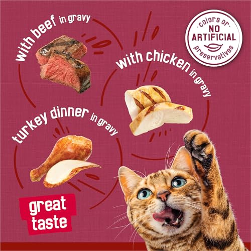 Purina Friskies Prime Filets Wet Cat Food in Gravy Variety (24) 5.5 oz Cans - image 5
