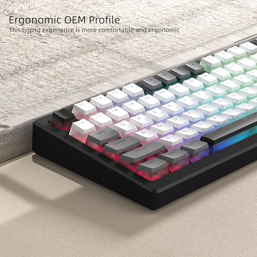 Image of Womier PBT Shine Through Keycaps for Mechanical Keyboard, Pudding Keycaps | Keycaps 60% 75% 100% Keyboard 143 Keys,Custom Keycap Set OEM Profile for Gateron Cherry MX Switches,Gray White-Only Key caps