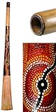 Didgeridoo Teak Wood Painted (51 inch)