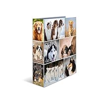 Raccoglitore Ad Anelli HERMA Motivo Cavallo - Formato A4, Dorso 7 Cm, Colorato Per Scuola/Ufficio - Foto 4