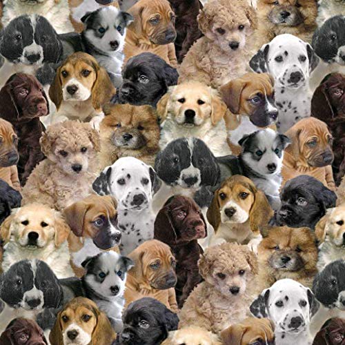 Puppies Anti-Pill No-Sew Throw Fleece Fabric Kit (50x60) - Image 2