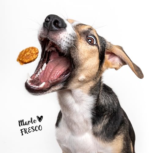 FRESCO Dog Trainingsdrops Ente 1kg-Eimer | getreidefreie Leckerlis für Hunde | gesund und natürlich | ohne künstliche Zusätze | Made in Germany