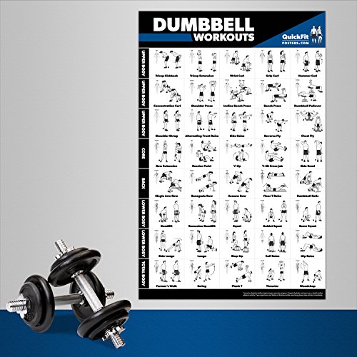 Downloadable Full Size Home Gym Exercise Chart The Best Gym Workout