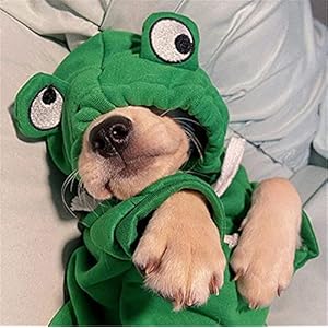 Funny-Dog-Hoodie-Dog-Sweater-Cute-Apple-Banana-Frog-Shape-Warm-Jacket-for-Pet-Fashion-Cold-Weather-Wear-Outfit-Outerwear-for-Small-Medium-Dogs-Cats-Green-M - Cucciolini Doodles   Funny-Dog-Hoodie-Dog-Sweater-Cute-Apple-Banana-Frog-Shape-Warm-Jacket-for-Pet-Fashion-Cold-Weather-Wear-Outfit-Outerwear-for-Small-Medium-Dogs-Cats-Green-M