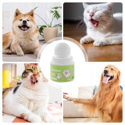 Generisch Balsam für die Ballen von Hunde, 30ml Pflegeöl für rissige Hunde, Natürliche Krallenpflege für Katzen bei rissigen