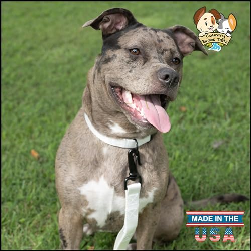Collar de nylon para perro Country Brook, grande, blanco, 1 pulg miniatura 2