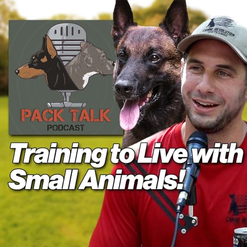 #139 How to Train Your Dog to Live Peacefully with Cats, Chickens, and Small Animals (Without the Chase!) Podcast Por  arte de portada