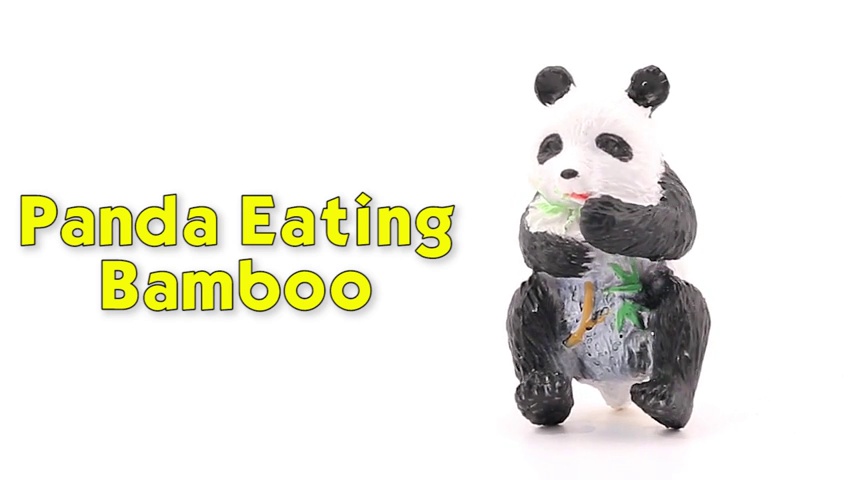 Amazon.com: Safari Ltd. Panda TOOB - Set of 9 Hand-Painted Mini