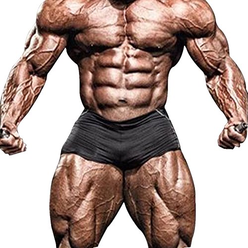 palglg Men's Compression Sport Shorts Cool Dry Tights Workout