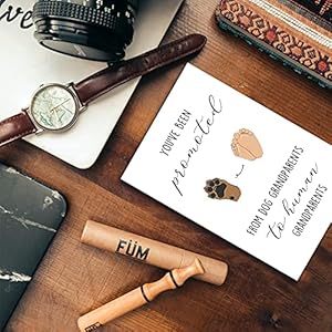 OJsensai Funny Pregnancy Announcement for Grandparents, Cute Pregnancy Revel Card for Grandparents, Promoted from Dog Grandparents To Human Grandparents OJsensai Funny Pregnancy Announcement for Grandparents Cute Pregnancy Revel Card for Grandparents Promoted from Dog Grandparents To Human Grandparents