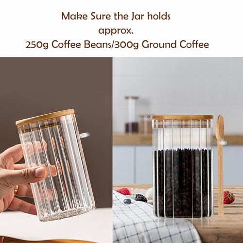 Steviieden 24 FL OZ Glass Jar