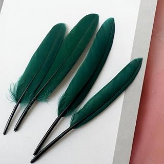 300 piezas de pintura decorativa pluma colorida pequeña cuchillo recto materiales de arte creativo decoración manualidades plumas manualidades suministros de arte plumas para manualidades