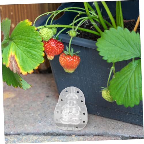 Set de moldes para melón y frutas 2 piezas miniatura 5