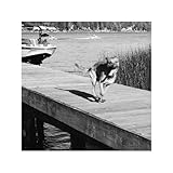 charleston girl tyler childers  Charleston Girl