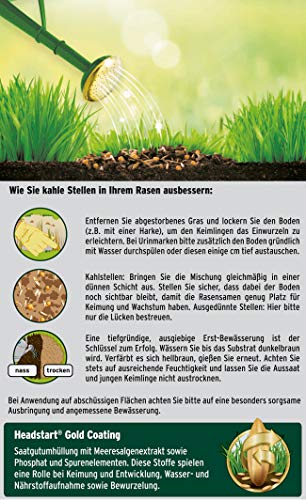 Substral Magisches Rasen-Pflaster, 3,6 kg - 4in1 Rasenreparatur Rasensamen + Premium Keimsubstrat + Dünger und Haftmittel, blau