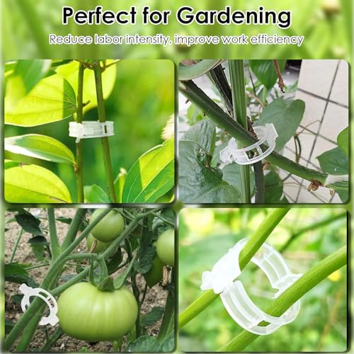 Tyqour 100pcs Tomato Plant Clips for Climbing Plants Plant Supports for Outdoor Plants Garden Plant Support Clips Vine Stem Clips for Fixing Tomatoes Vegetables - Image 2