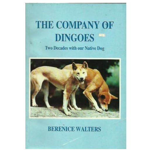 Two Decades with Indigenous Dingoes