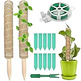 Rayong 2 Stück Kokosstab 40cm Pflanzstab Kokos, Rankstab Rankhilfe Blumenstab, Moosstab für Pflanzen, Pflanzstab Rankstab Monstera Rankhilfe Kokosstab für Kletterpflanzen